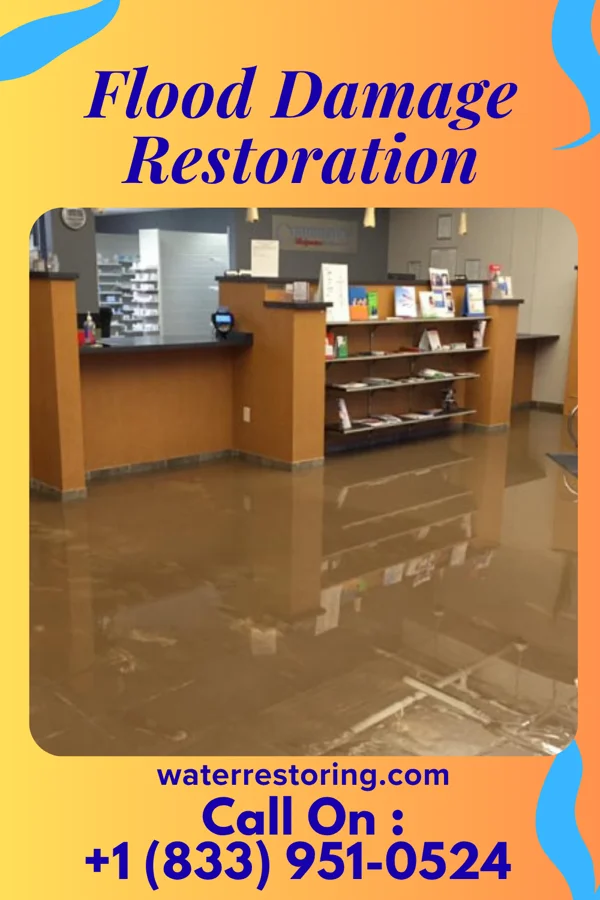 Flood Damage Restoration in Doolittle, TX