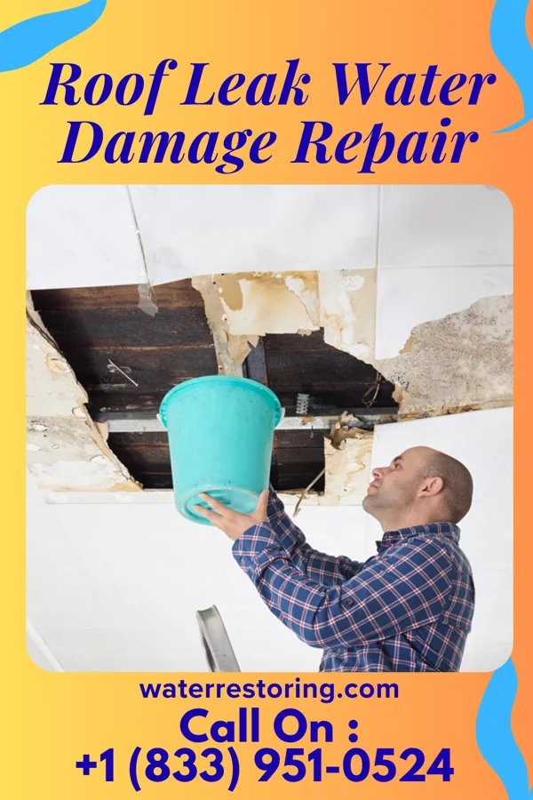 Roof Leak Water Damage Repair in Doolittle, TX