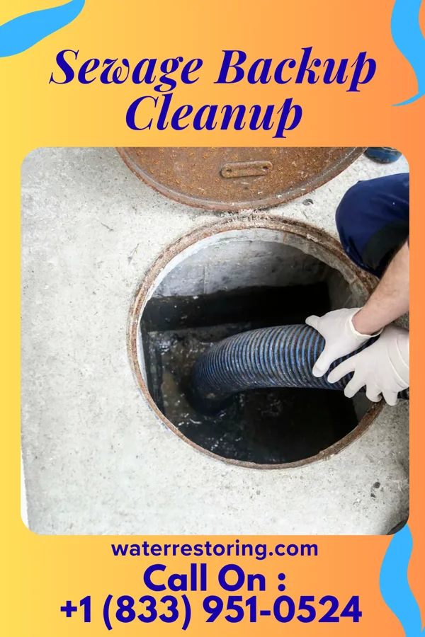 Sewage Backup Cleanup in Doolittle, TX
